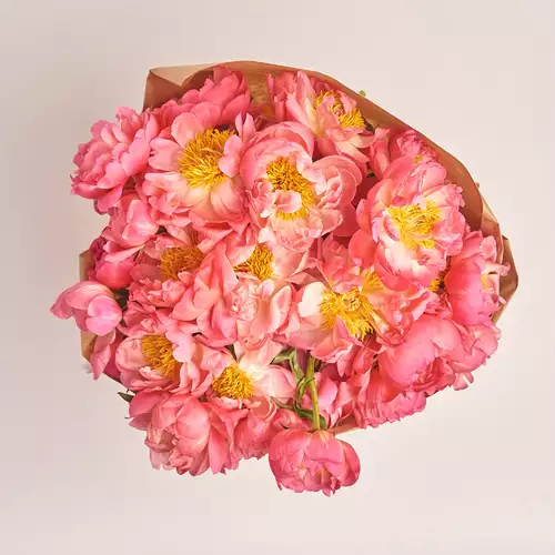 Product image Bouquet of 25 Coral Peonies, packaging: Сraft, vendor code: 3127