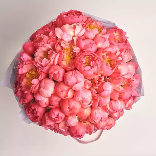 Зображення товару Букет 51 Коралова Півонія, пакування: Сіра, артикул: 3128