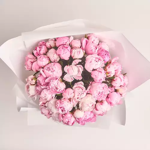 Product image Bouquet of 51 Pink Peonies, packaging: White, vendor code: 3129