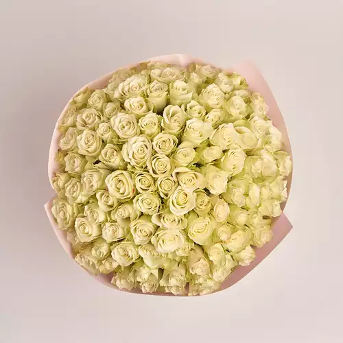Product image Bouquet 101 Roses Athena, packaging: Composite light pink, vendor code: 3135