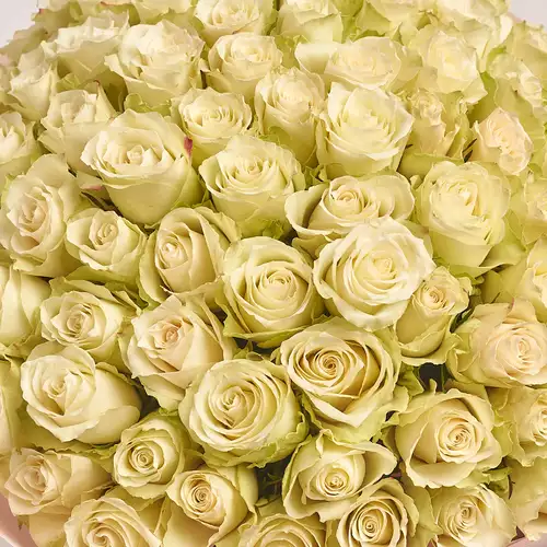 Product image Bouquet 101 Roses Athena, packaging: Composite light pink, vendor code: 3135