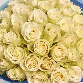 Букет 51 Роза Атена