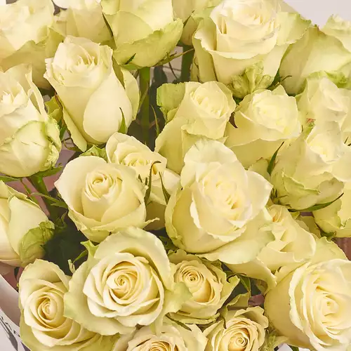 Product image Bouquet 35 Roses Athena, packaging: Tissue paper cream, vendor code: 3137