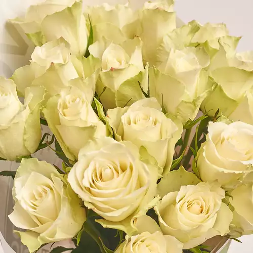 Product image Bouquet 19 Roses Athena, packaging: Gradiens light blue, vendor code: 3139