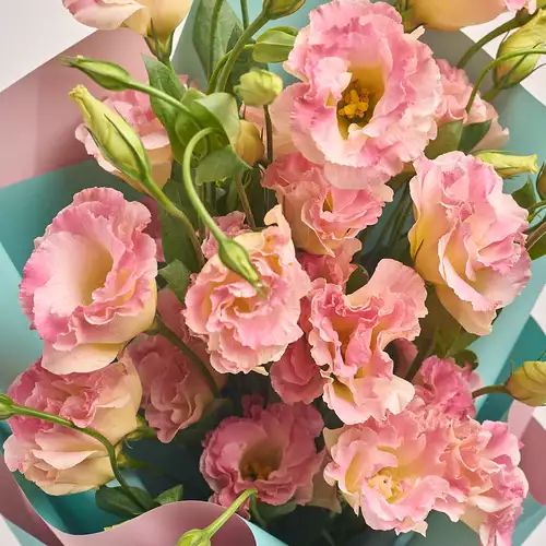 Product image Bouquet of 5 Eustomas Champagne, packaging: Gradiens tiffany, vendor code: 3140