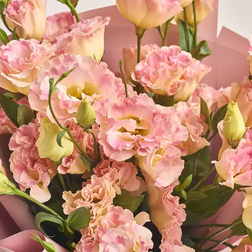 Product image Bouquet of 11 Eustomas Champagne, packaging: Composite light pink, vendor code: 3141