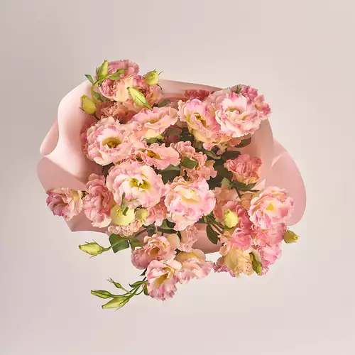 Product image Bouquet of 11 Eustomas Champagne, packaging: Composite light pink, vendor code: 3141