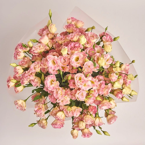 Product image Bouquet of 51 Eustomas Champagne, packaging: Transparent, vendor code: 3145