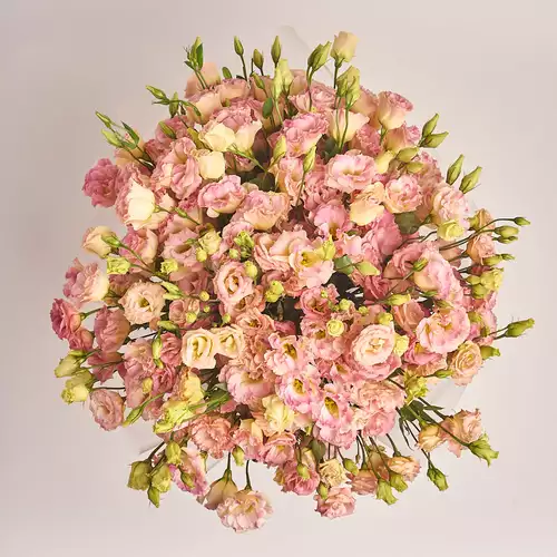 Product image Bouquet of 75 Eustomas Champagne, packaging: Red, vendor code: 3146