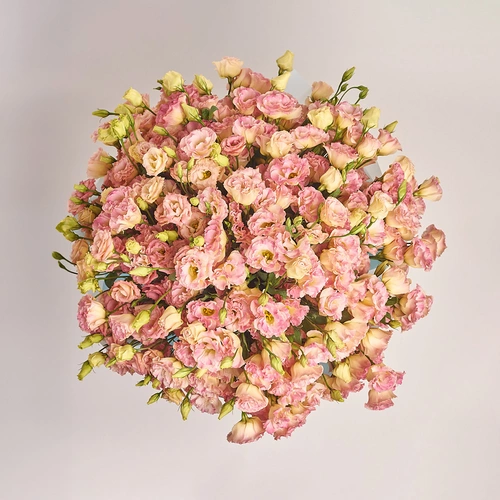 Product image Bouquet of 101 Eustomas Champagne, packaging: Blue, vendor code: 3147