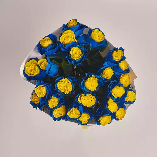 Product image Bouquet of 25 Blue -Yellow Roses, packaging: White, vendor code: 3148