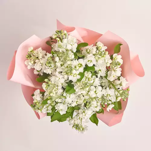 Product image Bouquet 15 White Matthiolus, packaging: Gradiens light blue, vendor code: 3149