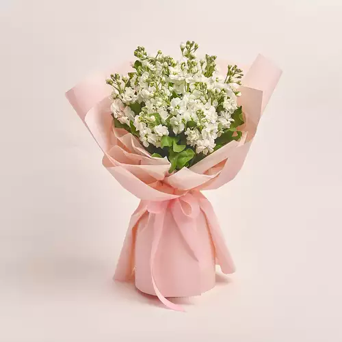 Product image Bouquet 15 White Matthiolus, packaging: Composite light pink, vendor code: 3149