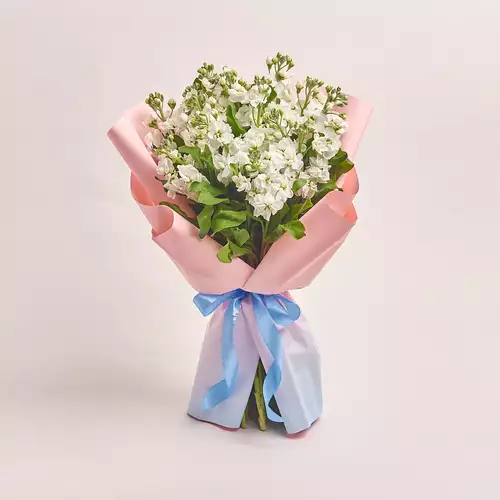 Product image Bouquet 15 White Matthiolus, packaging: Gradiens light blue, vendor code: 3149