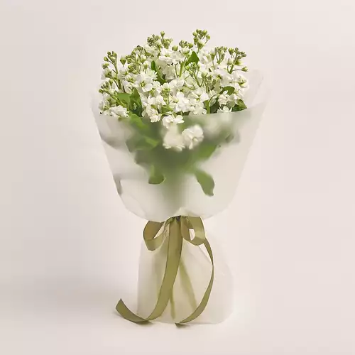 Product image Bouquet 15 White Matthiolus, packaging: Transparent, vendor code: 3149