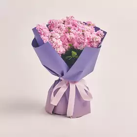 Bouquet 15 Pink Matthiolus
