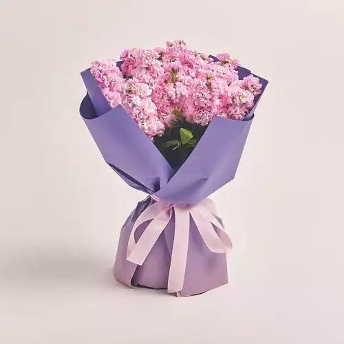 Product image Bouquet 15 Pink Matthiolus, packaging: Gradiens violet, vendor code: 3150