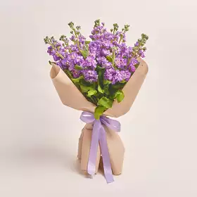 Букет 15 Фіолетових Матіол