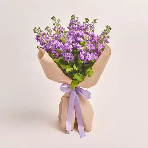 Product image Bouquet 15 Violet Matthiolus, packaging: Kafin cream, vendor code: 3151