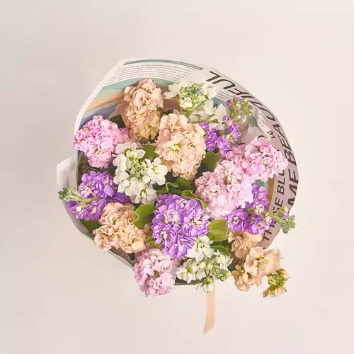 Product image Bouquet 15 Matthiolus Mix, packaging: Newspaper, vendor code: 3153