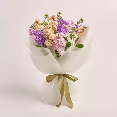 Product image Bouquet 15 Matthiolus Mix, packaging: Transparent, vendor code: 3153