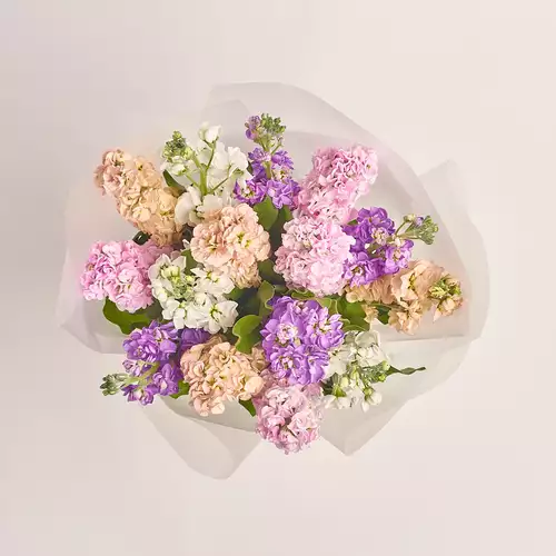 Product image Bouquet 15 Matthiolus Mix, packaging: Transparent, vendor code: 3153