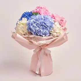 Bouquet of 9 Hydrangeas Mix