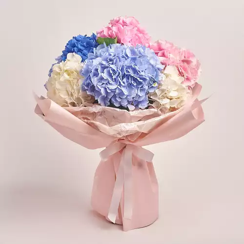 Product image Bouquet of 9 Hydrangeas Mix, packaging: Composite light pink, vendor code: 3154