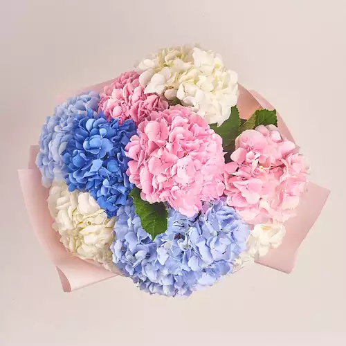 Product image Bouquet of 9 Hydrangeas Mix, packaging: Composite light pink, vendor code: 3154