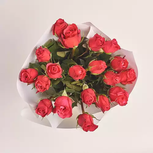 Product image Bouquet of 19 Roses Cherie O, packaging: White, vendor code: 3155