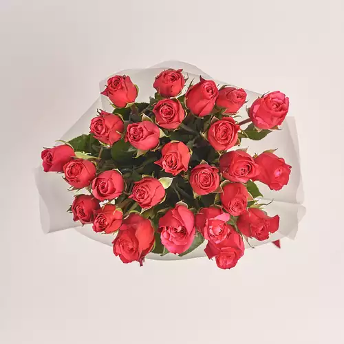 Product image Bouquet of 25 Roses Cherie O, packaging: Transparent, vendor code: 3156