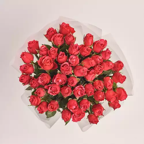 Зображення товару Букет 51 Троянда Чері О, пакування: Прозора, артикул: 3157