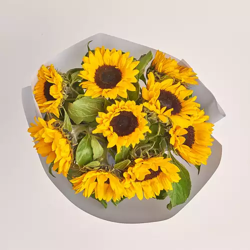 Изображение товара Букет 9 Подсолнухов, упаковка: Серая, артикул: 3158