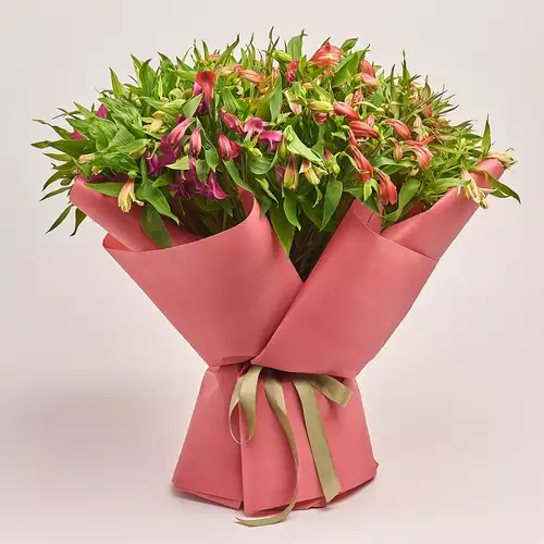 Product image Bouquet 51 Alstroemeria Mix, packaging: Kafin rust, vendor code: 3160