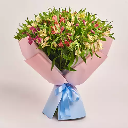 Product image Bouquet 51 Alstroemeria Mix, packaging: Gradiens light blue, vendor code: 3160