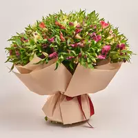 Bouquet 101 Alstroemeria Mix