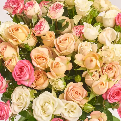Product image Bouquet of 15 Roses spray mix, packaging: Peach, vendor code: 3163