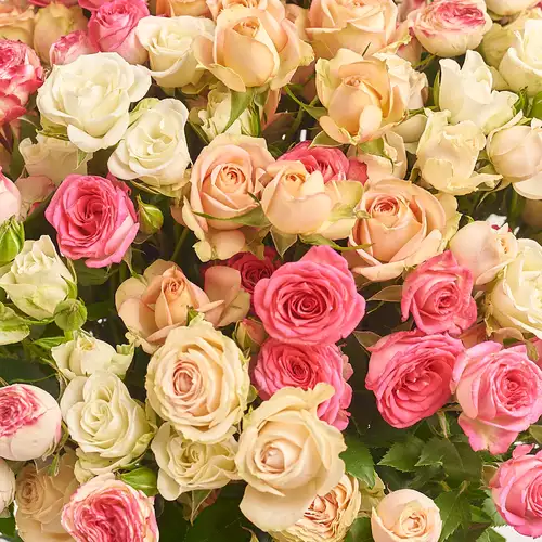 Product image Bouquet of 25 Roses spray mix, packaging: Kafin cream, vendor code: 3164