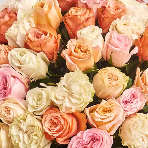 Product image Bouquet of 101 peony Roses Mix, packaging: Gradiens pink, vendor code: 3165