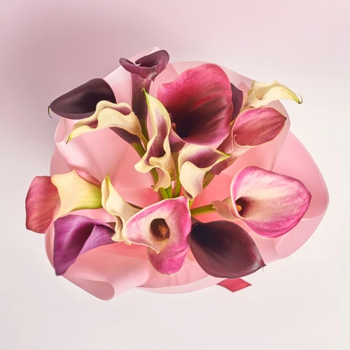 Product image Bouquet of 15 Callas Мix, packaging: Pink, SKU: 3167