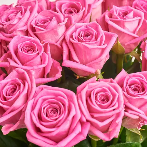 Product image Bouquet of 19  Roses Aqua, packaging: Gradiens light blue, vendor code: 3168