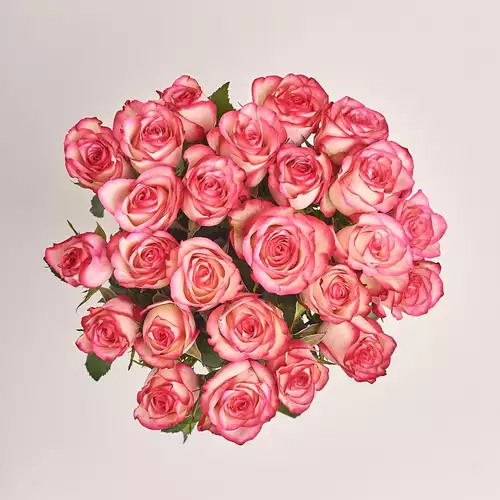 Product image Bouquet of 25 Roses Paloma, packaging: 
Graphite, vendor code: 3170