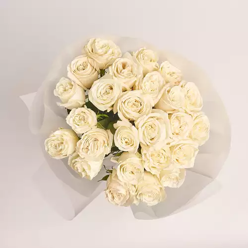 Product image Bouquet of 25 Roses Playa Blanca, packaging: Transparent, vendor code: 3172