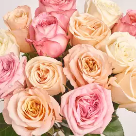 Букет 15 піоновидних Троянд мікс