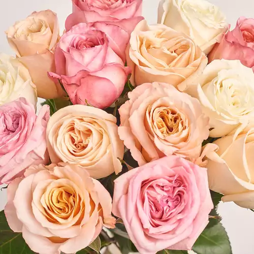 Product image Bouquet of 15 peony Roses mix, packaging: Gradiens violet, vendor code: 3175