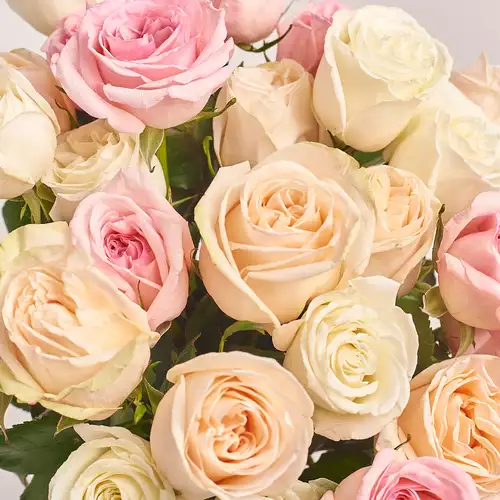 Product image Bouquet of 25 peony Roses mix, packaging: Green, vendor code: 3176