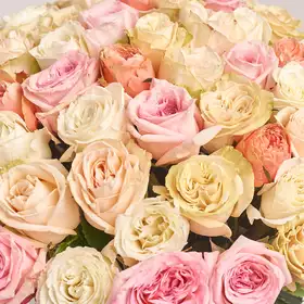 Букет 51 піоновидна Троянда мікс