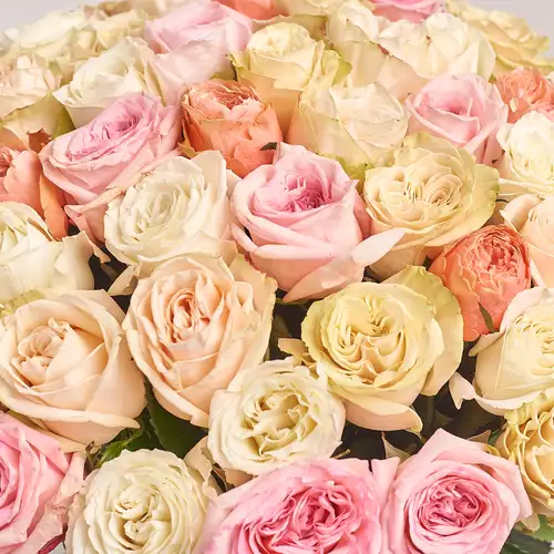 Product image Bouquet of 51 peony Roses mix, packaging: Gray, vendor code: 3177