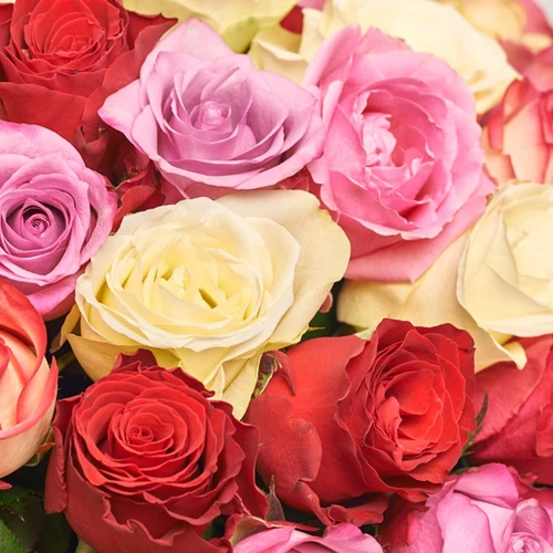 Product image Bouquet of 101 Mixed Roses, packaging: Coral, SKU: 3181