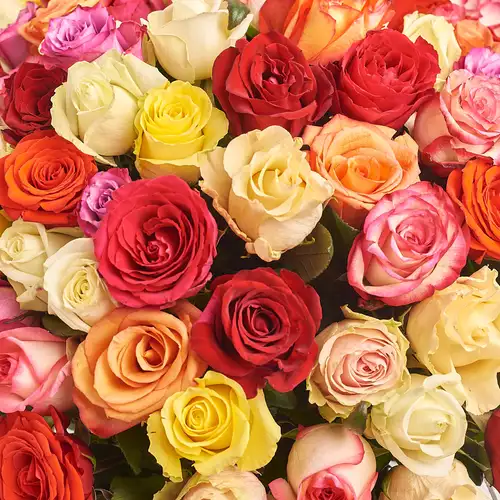 Product image Bouquet of 101 Mixed Roses, packaging: Green, vendor code: 3181